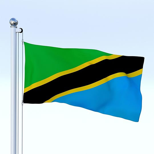 The flag of Tanzania on a flagpole.