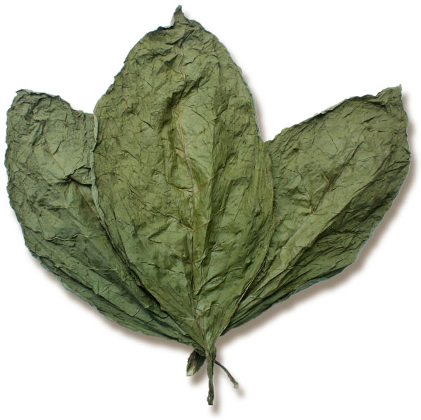 Introducing Xian: Green Snuff from China