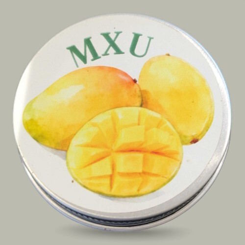 Xun Xiang - MXU